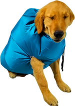 DryNest
